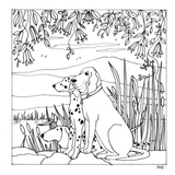 Colour Your Own Three Dogs By A Pond — wholesale greeting card