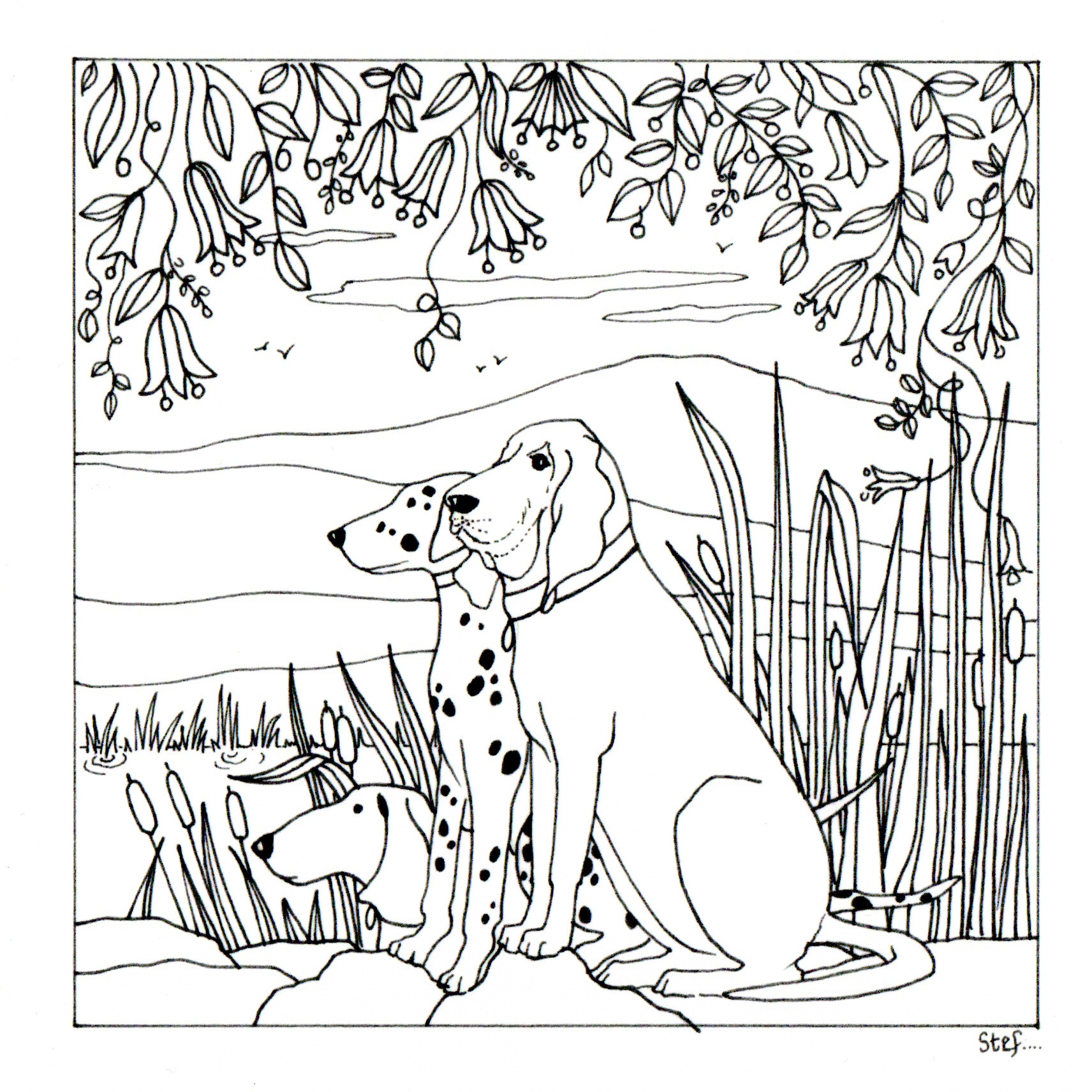 Colour Your Own Three Dogs By A Pond — wholesale greeting card
