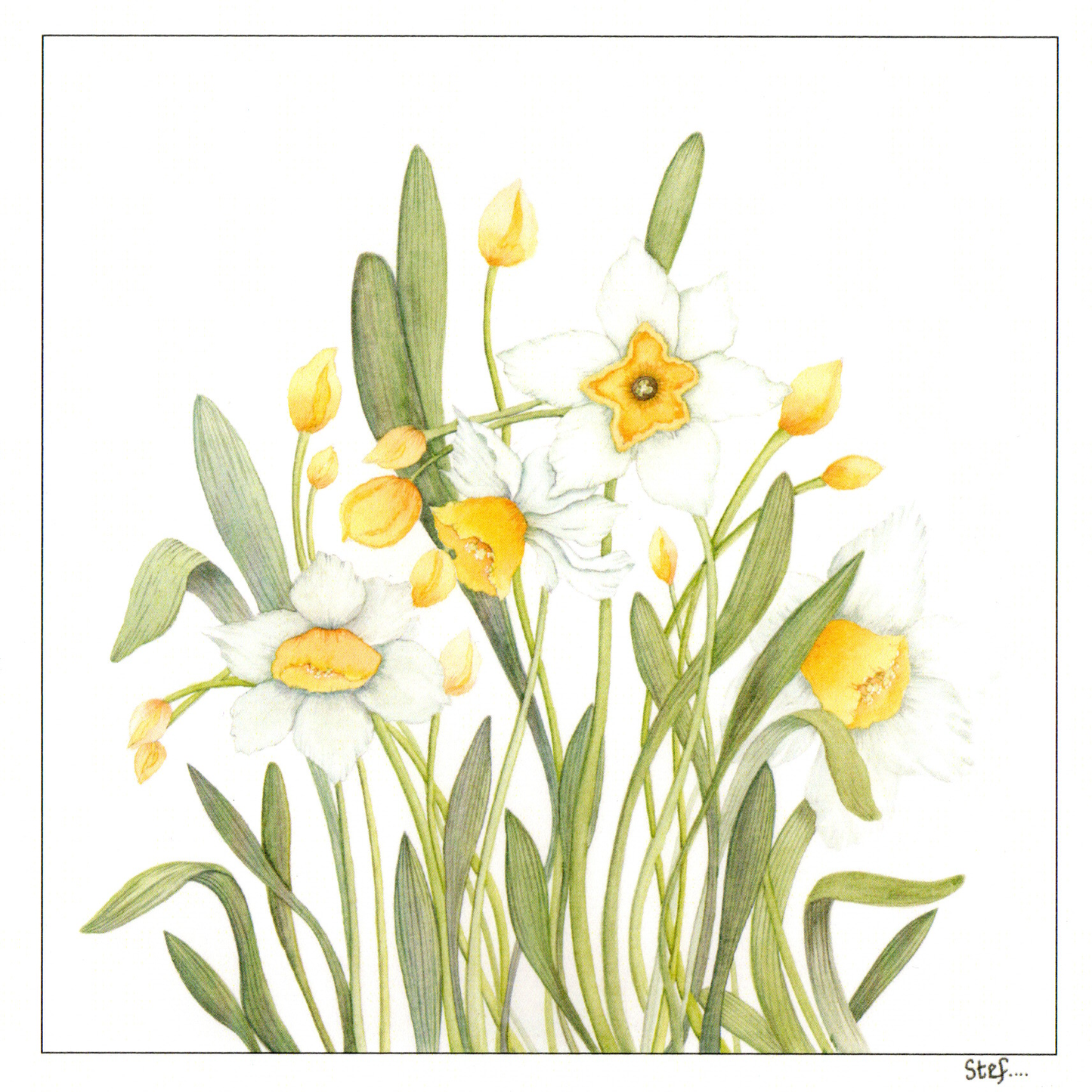 Yellow Daffodil greeting card floral design — wholesale greeting card