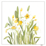 Yellow Daffodil greeting card floral design — wholesale greeting card