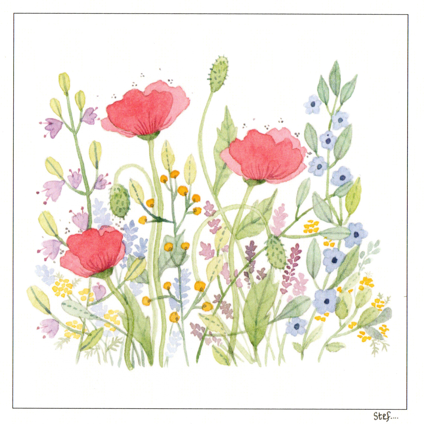 Vibrant Red Poppies and Blue Cornflowers — wholesale greeting card