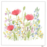 Vibrant Red Poppies and Blue Cornflowers — wholesale greeting card