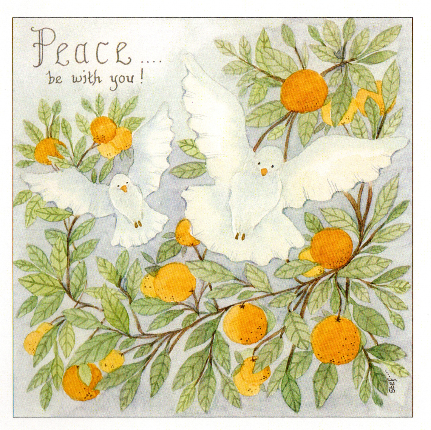 White doves in an orange tree with the word peace — wholesale greeting card