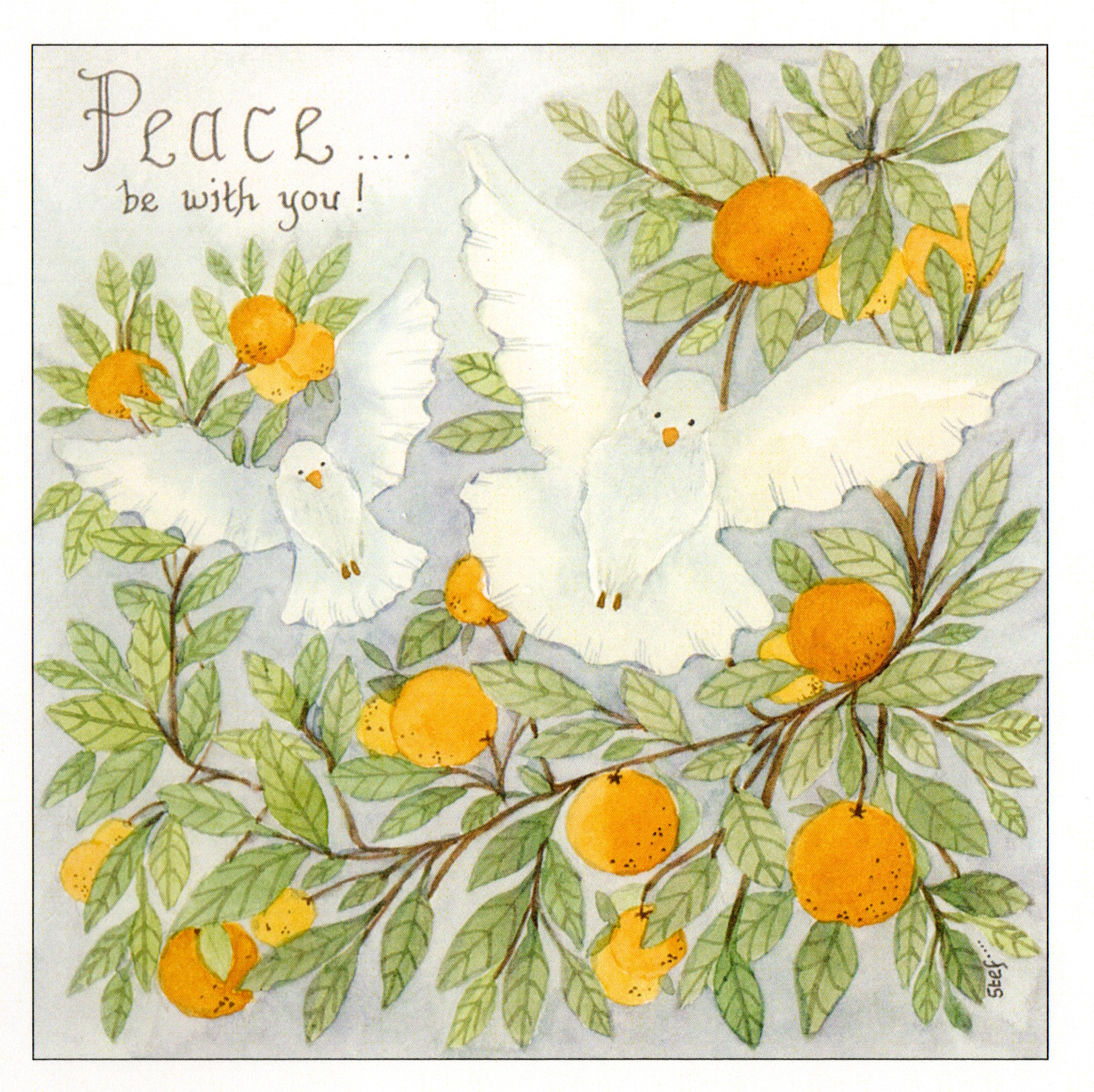 White doves in an orange tree with the word peace — wholesale greeting card
