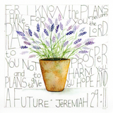 Christian Card A Pot Of Lavender — wholesale greeting card