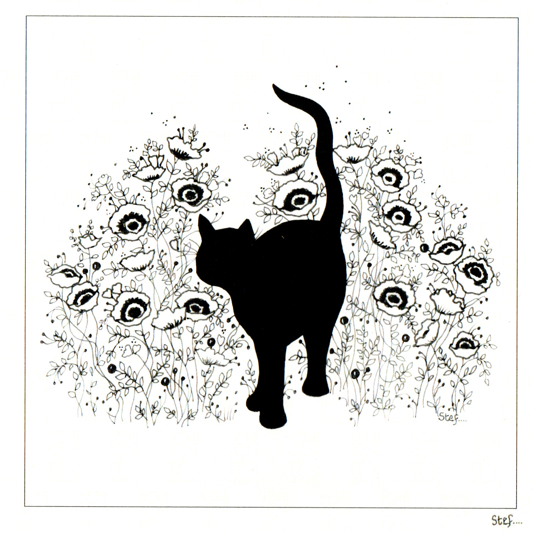Colour Your Own A Black Cat In A Poppy Field — wholesale greeting card