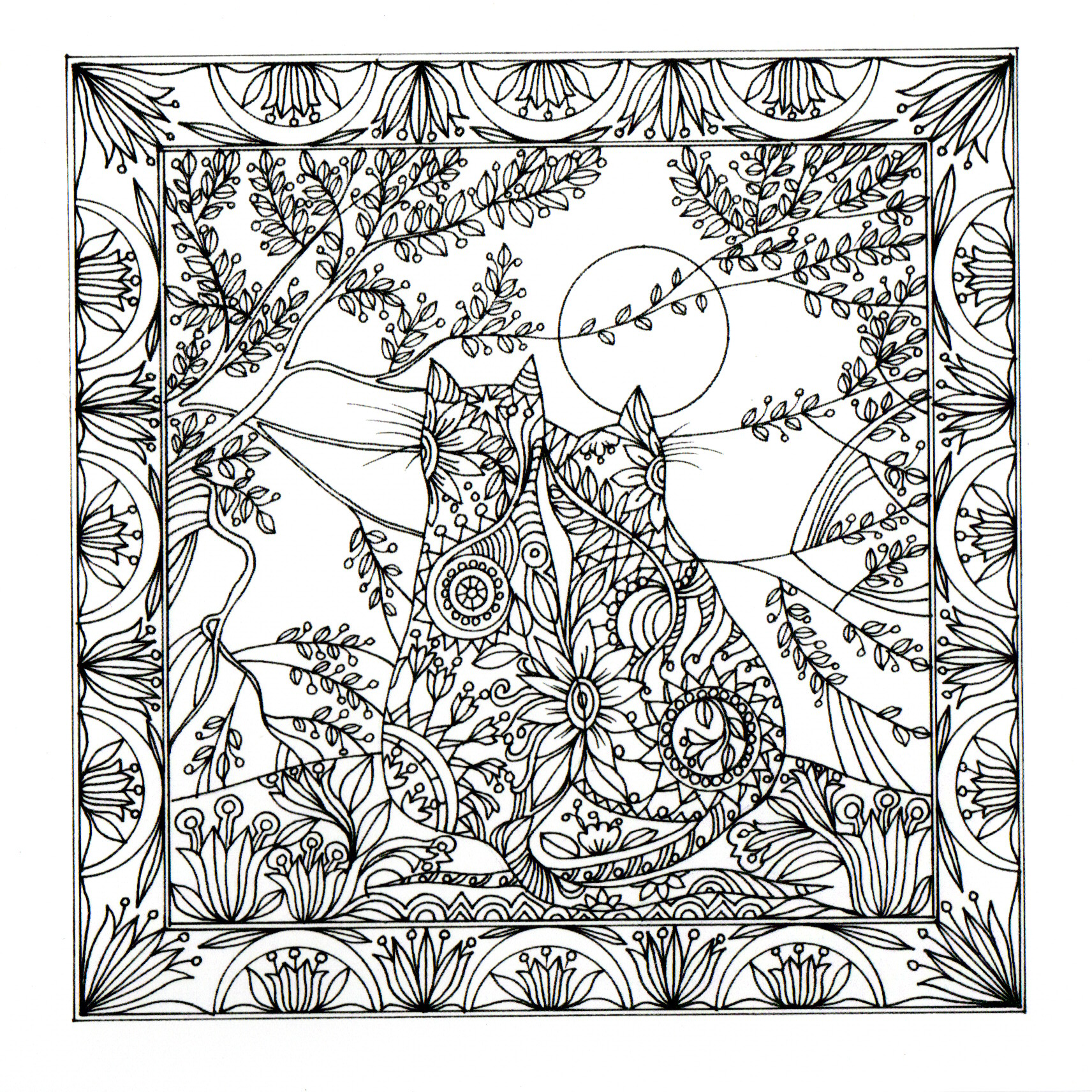colour your own cat's cuddling and looking at the sun — wholesale greeting card