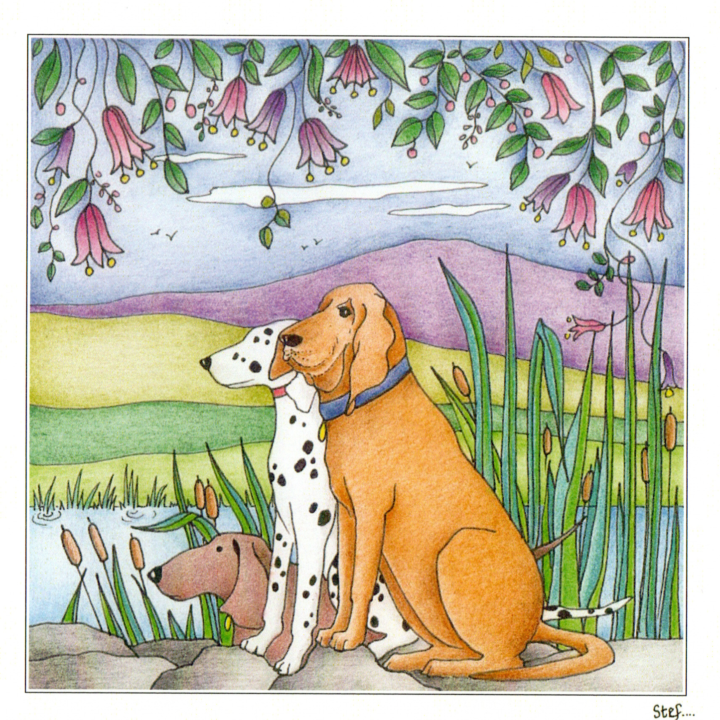 3 dogs sitting by a lake image 0