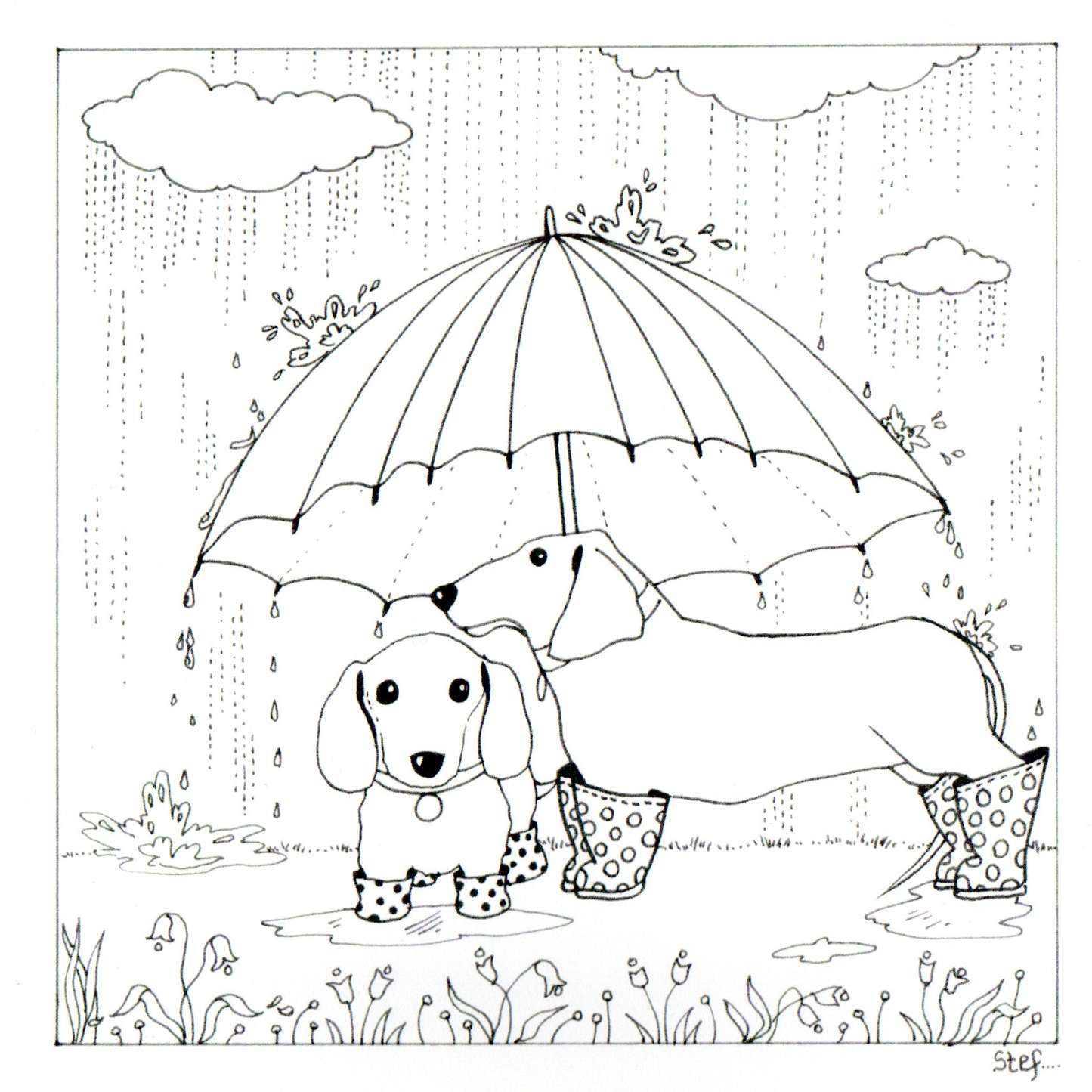 Colour Your Own Two Dachshunds In The Rain — wholesale greeting card