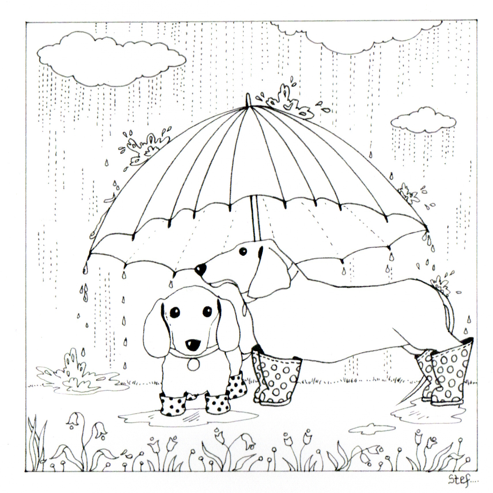 Colour Your Own Two Dachshunds In The Rain — wholesale greeting card