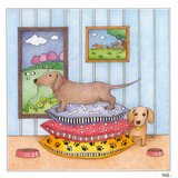 Two Dachshunds getting comfy on patterned cushions image 0