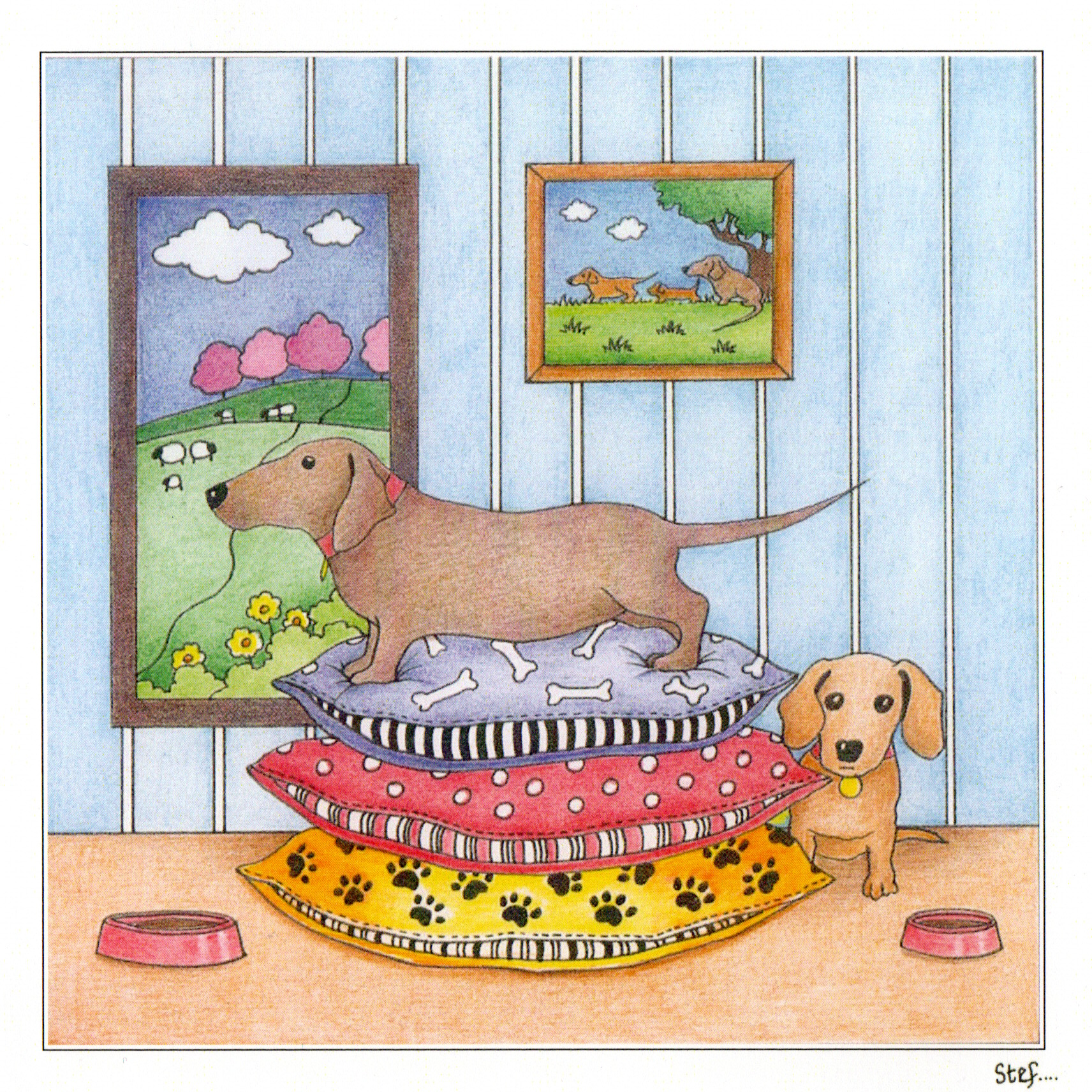 Two Dachshunds getting comfy on patterned cushions image 0