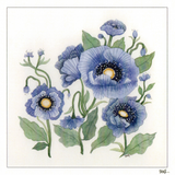Beautiful Blue Anemones — wholesale greeting card