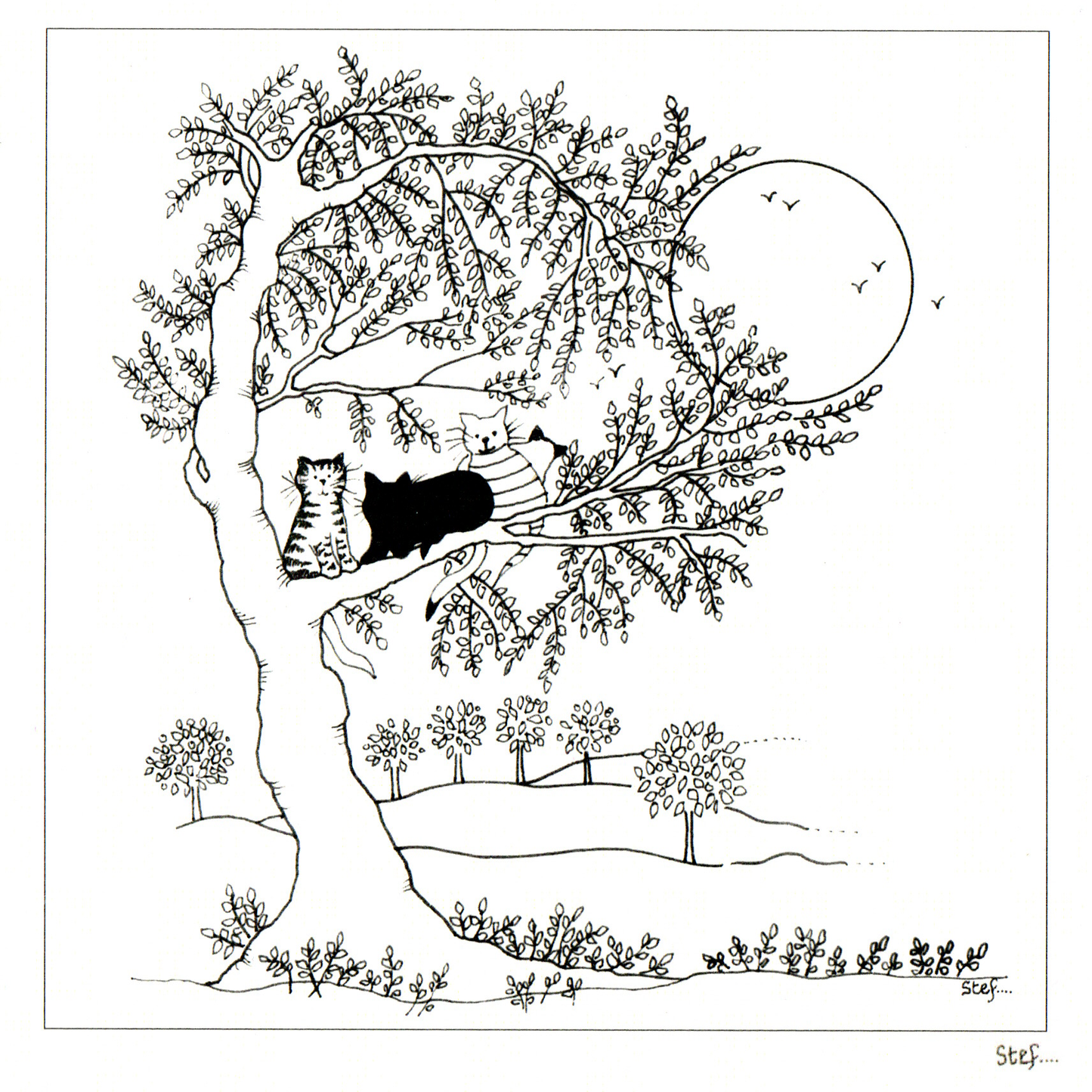Colour Your Own Cats Sat In A Tree — wholesale greeting card