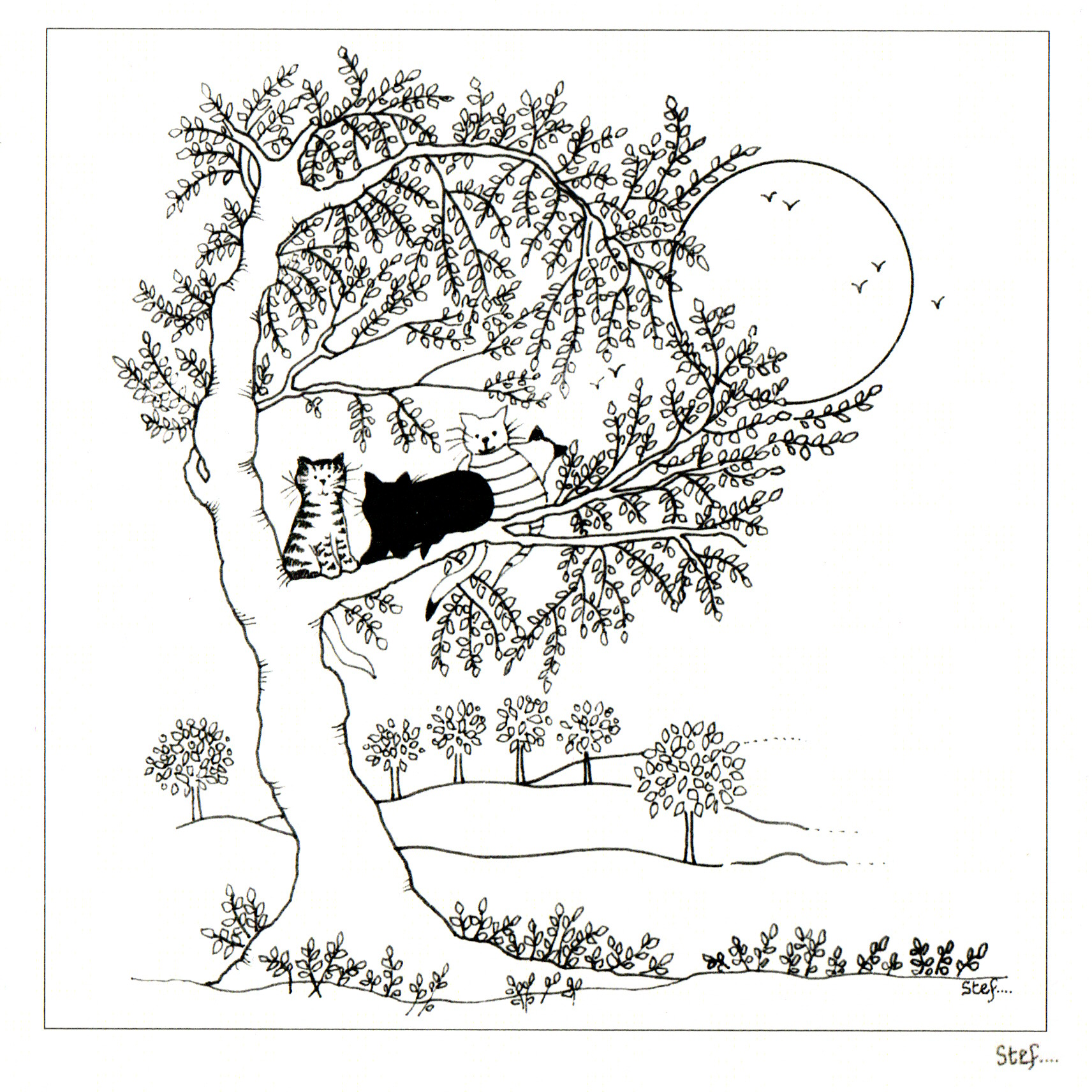 Colour Your Own Cats Sat In A Tree — wholesale greeting card