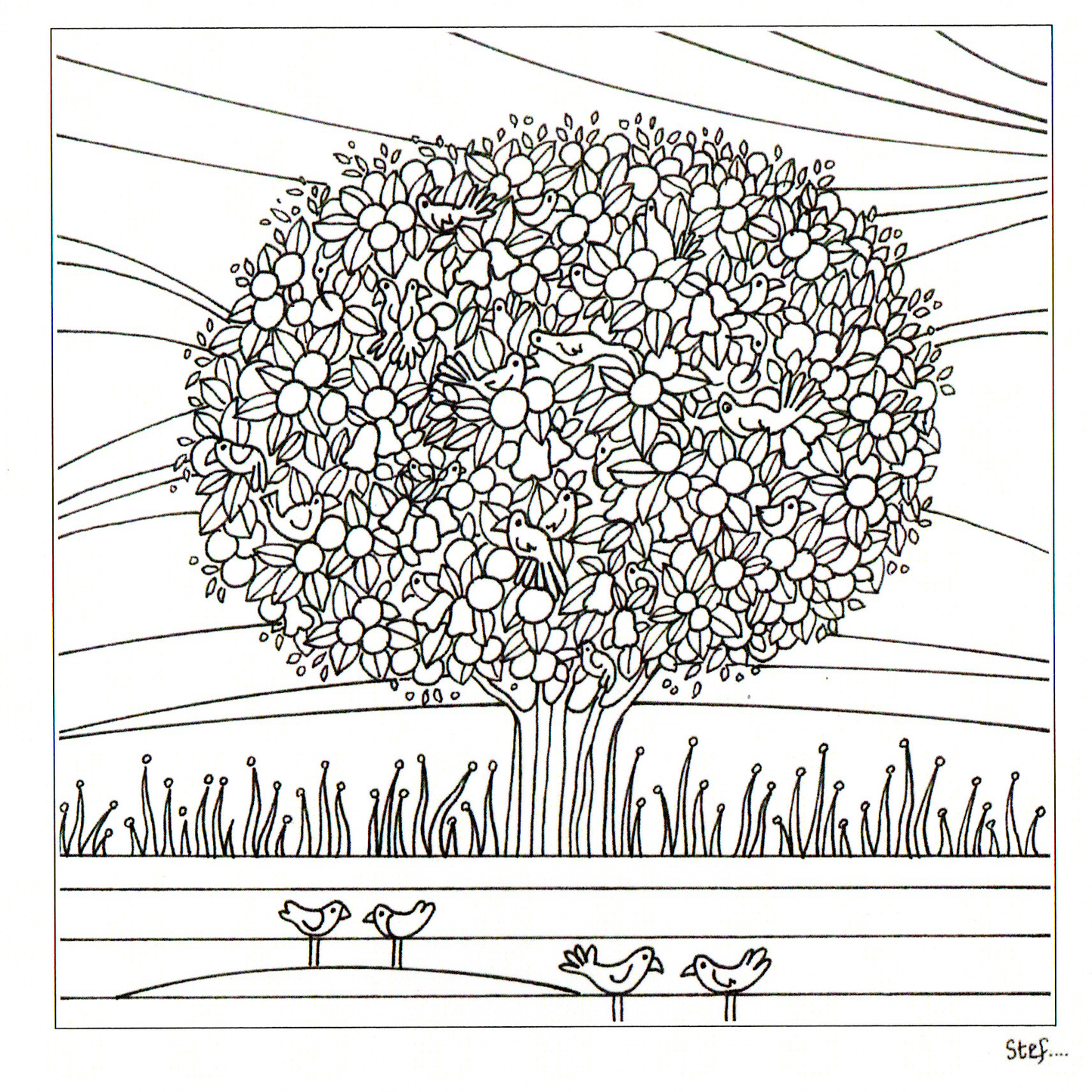 Colour Your Own Large Orange Tree With birds — wholesale greeting card