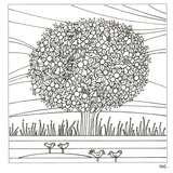Colour Your Own Large Orange Tree With birds — wholesale greeting card