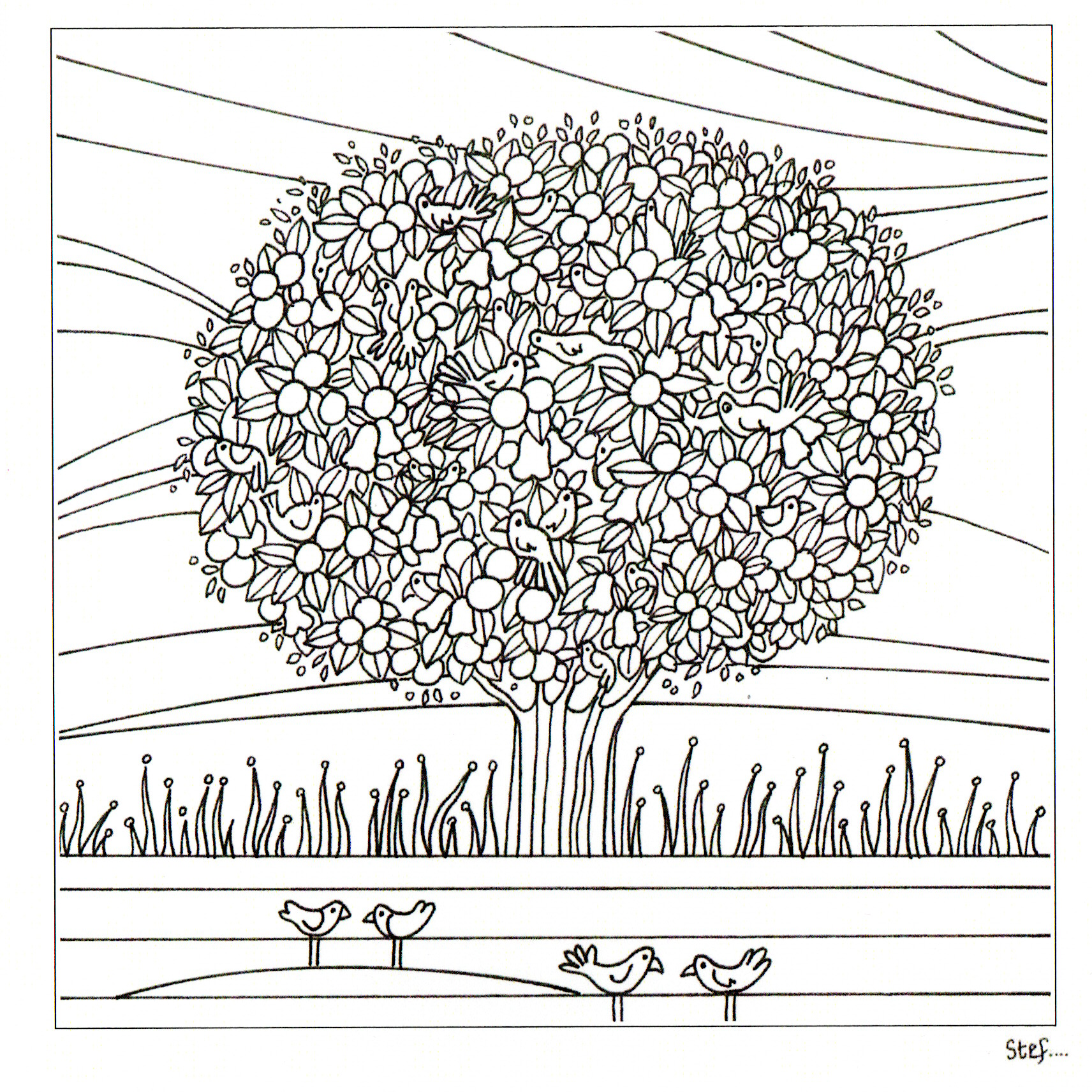 Colour Your Own Large Orange Tree With birds — wholesale greeting card