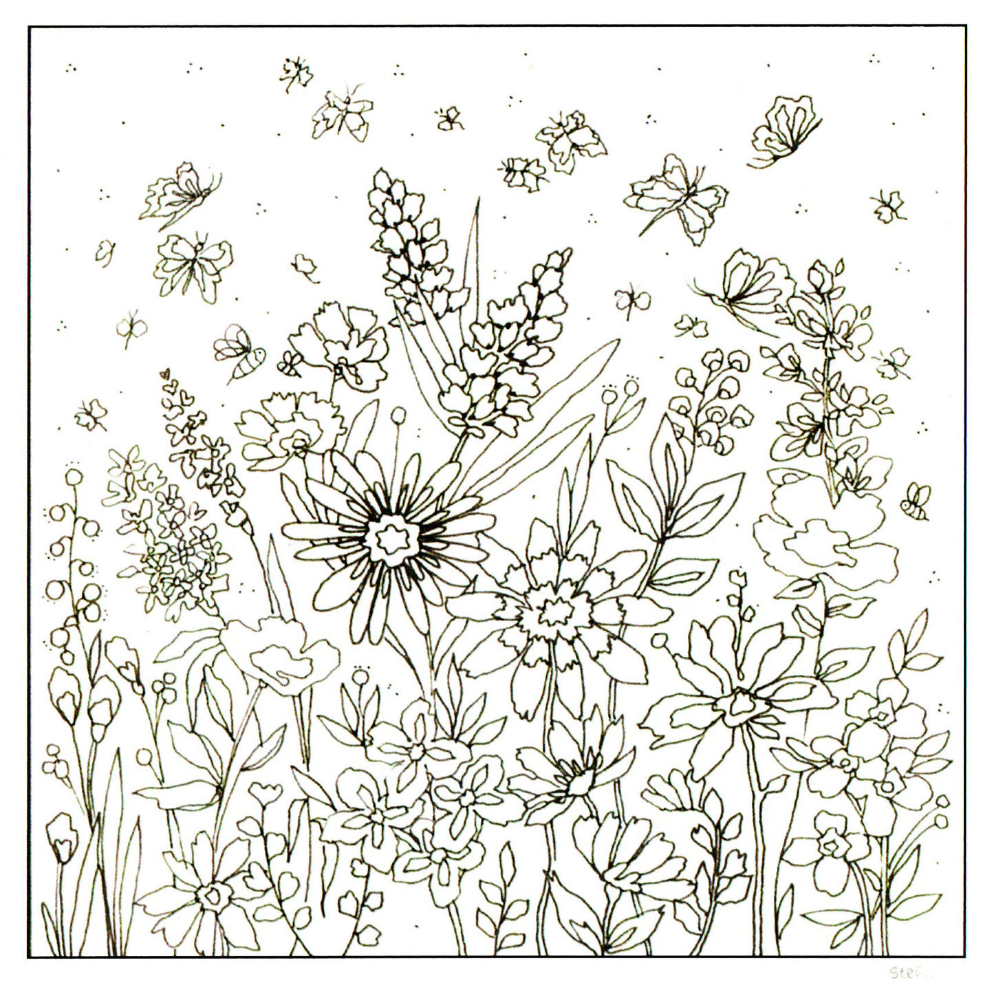 Colour Your Own Wildflowers And Butterflies — wholesale greeting card