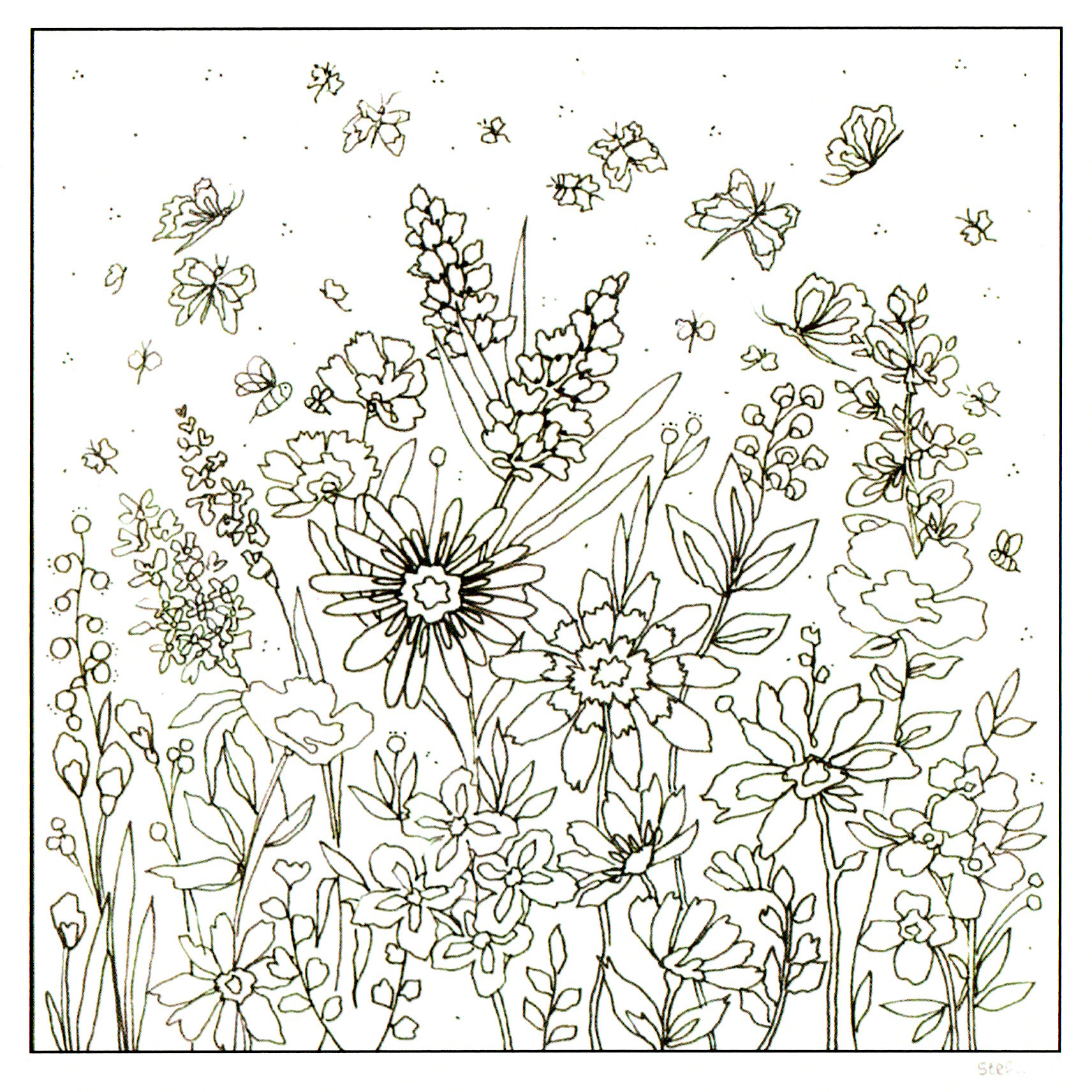 Colour Your Own Wildflowers And Butterflies — wholesale greeting card