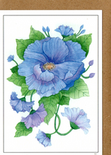 Blue Poppy — wholesale greeting card