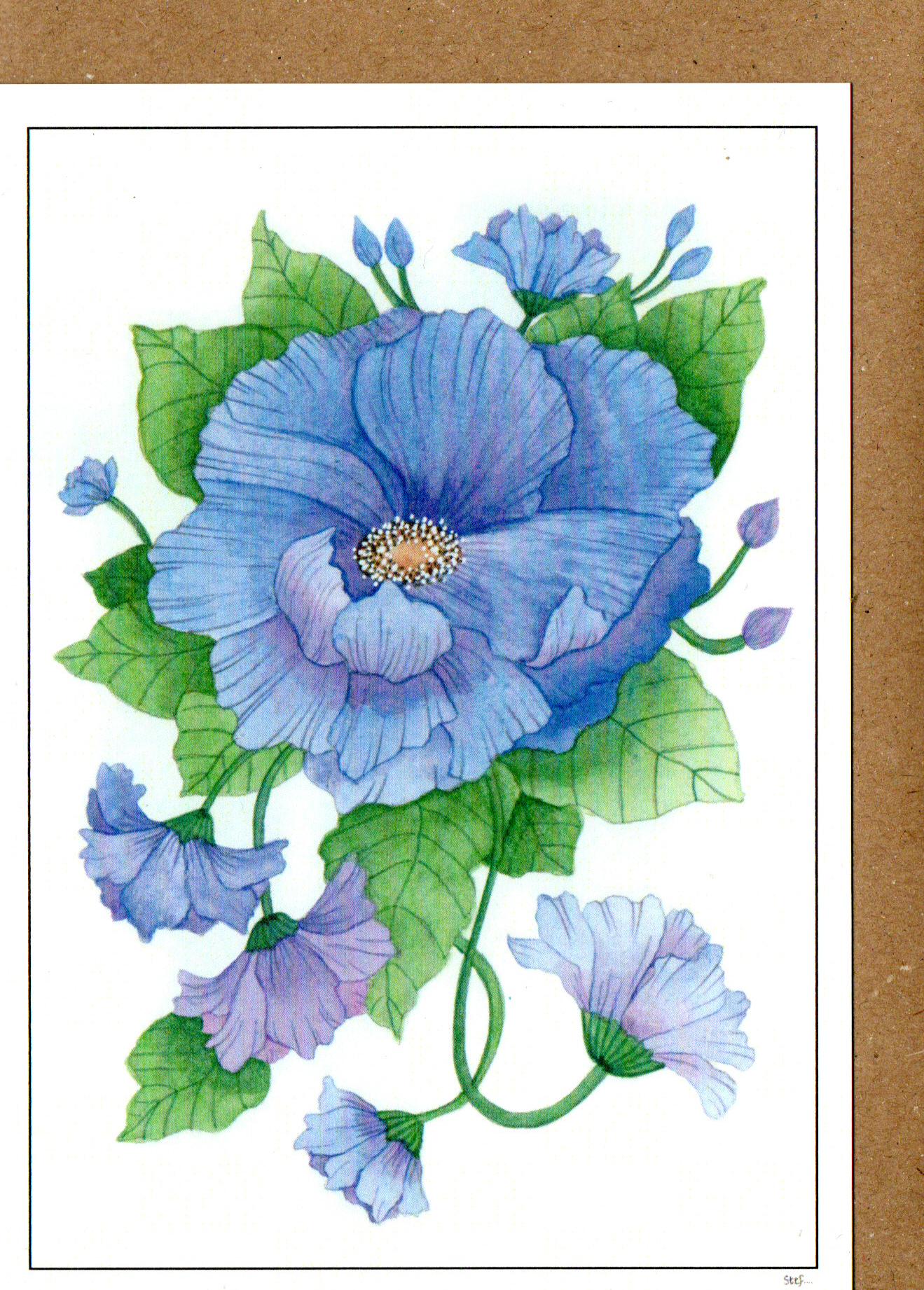 Blue Poppy — wholesale greeting card