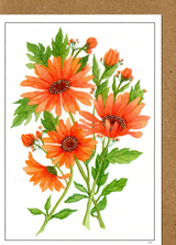 Orange Daisy — wholesale greeting card