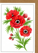 Red Anemone — wholesale greeting card