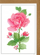 Pink Rose — wholesale greeting card