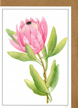 Pink Protea Flower — wholesale greeting card