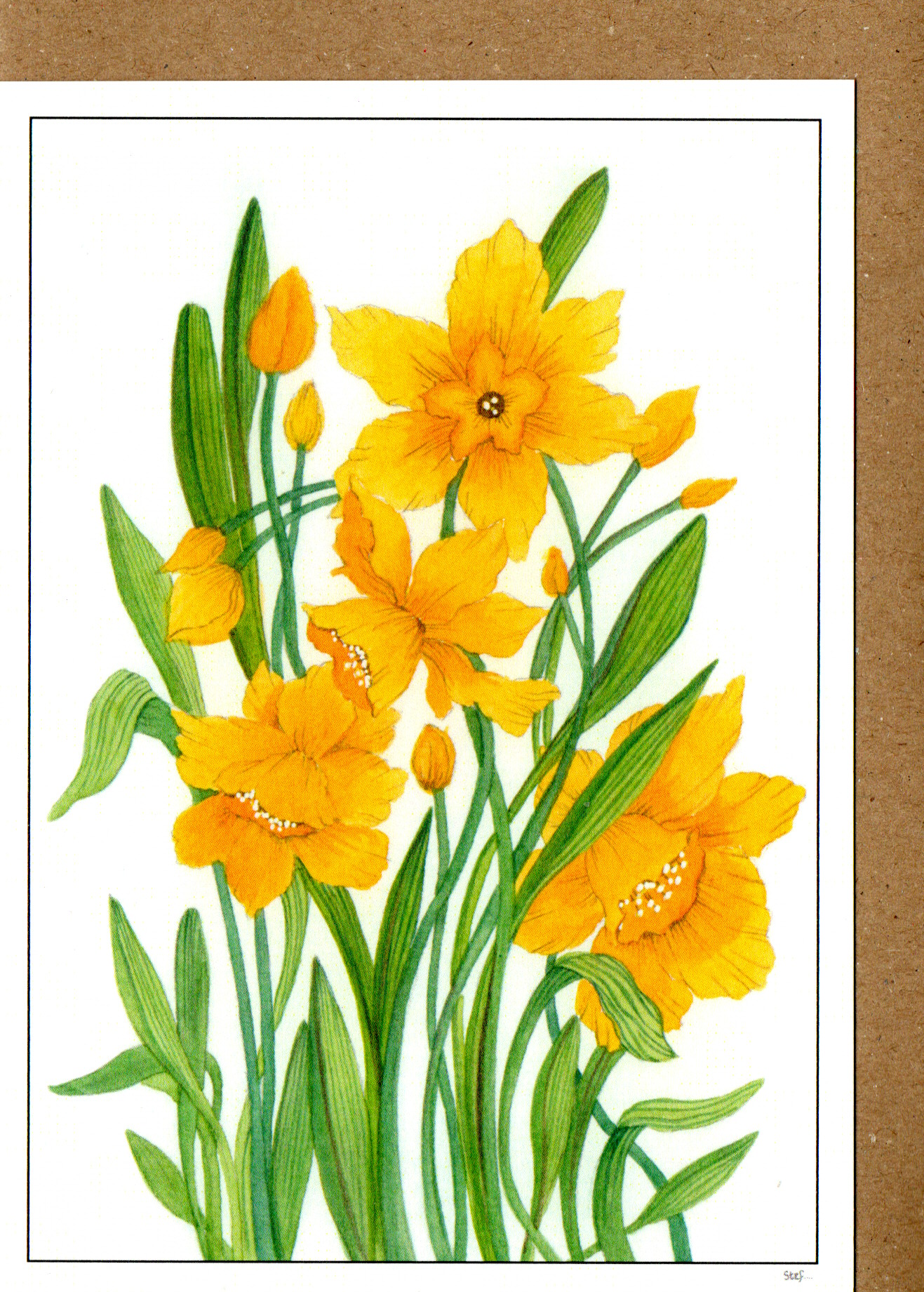 Yellow Daffodil — wholesale greeting card